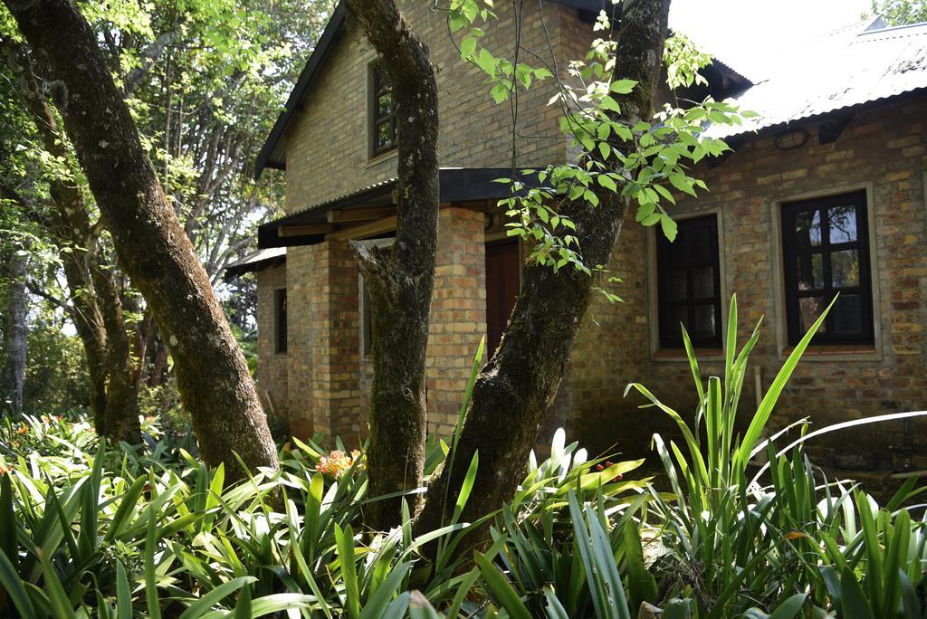 Molly'S Cottage Graskop Luaran gambar